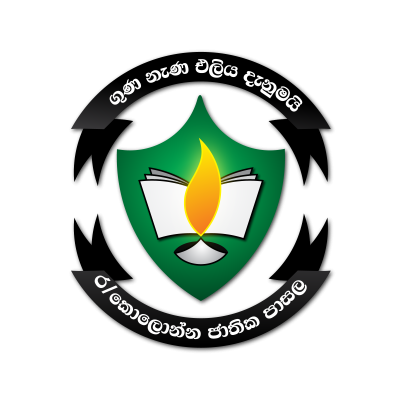 Kns Logo Transparent Normalwith Shadows